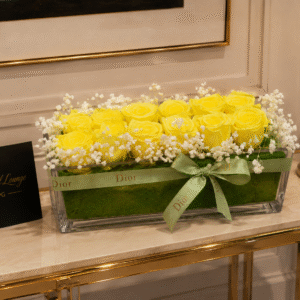 Dior sunshine